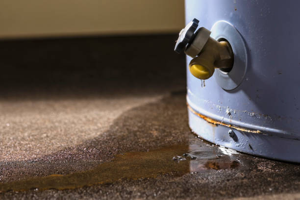 Professional Water damage restoration in Leavenworth, WA