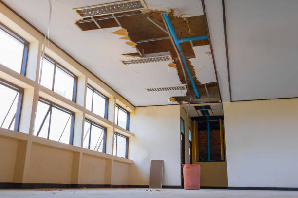 Best Carpet water damage restoration  in Leavenworth, WA