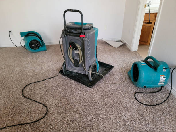 Best Flooded house restoration  in Leavenworth, WA