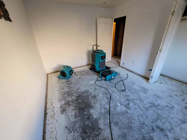 Best Water damage contractors near me  in Leavenworth, WA