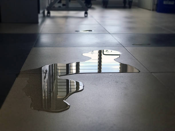 Best Basement water damage restoration  in Leavenworth, WA