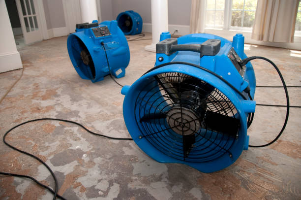 Best Ceiling water damage repair  in Leavenworth, WA