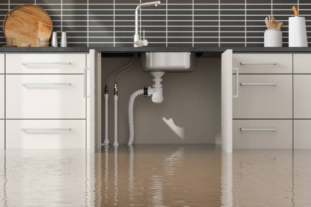 Best Residential water damage restoration  in Leavenworth, WA
